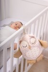 Szumiąca Sowa z czujnikiem dźwięku i pozytywką / Cloud b® Nighty Night Owl Smart Sensor™