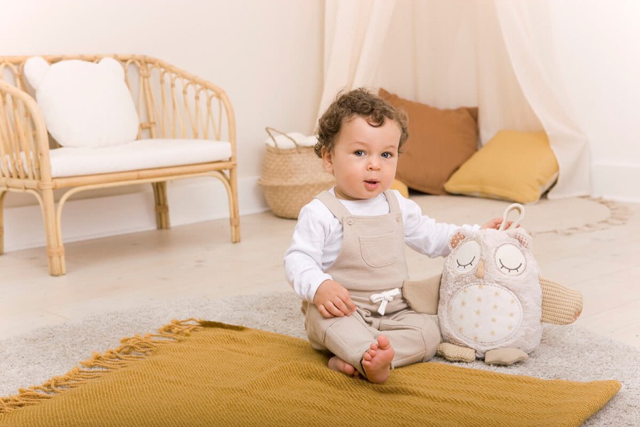 Szumiąca Sowa z czujnikiem dźwięku i pozytywką / Cloud b® Nighty Night Owl Smart Sensor™