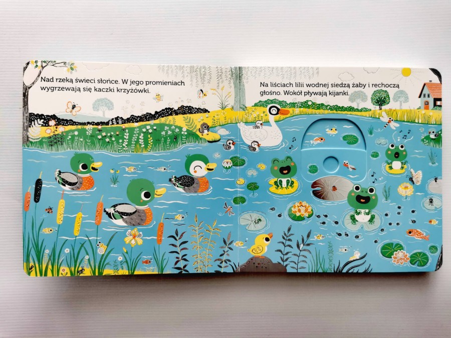 Niesamowity spacer. Rzeka. Akademia mądrego dziecka / HarperCollins