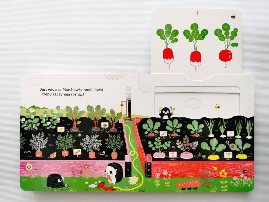 Niesamowity spacer. Ogródek warzywny. Akademia mądrego dziecka / HarperCollins