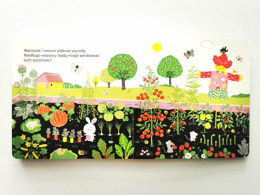 Niesamowity spacer. Ogródek warzywny. Akademia mądrego dziecka / HarperCollins