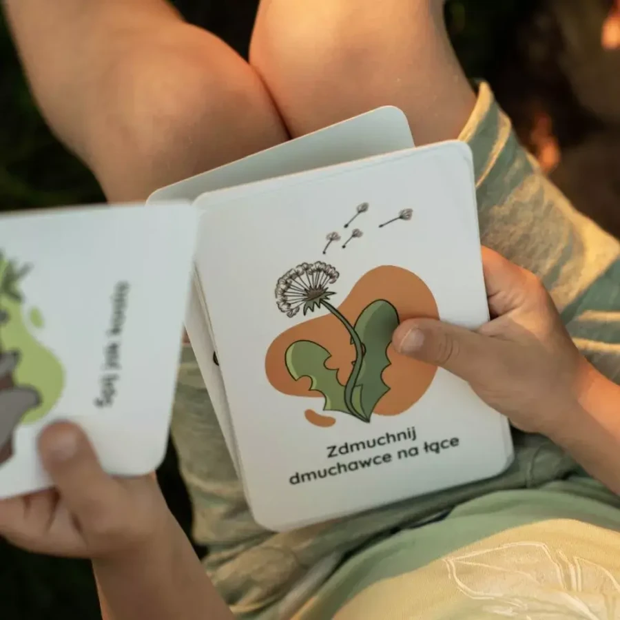 Karty Ruchowe / Nanuki