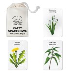 Karty spacerowe - kwiaty na łące / Nanuki