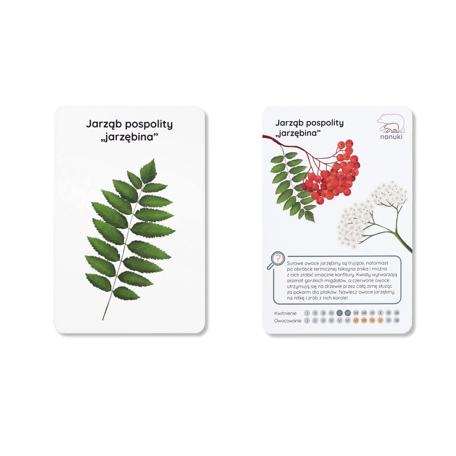 Karty spacerowe - drzewa / Nanuki