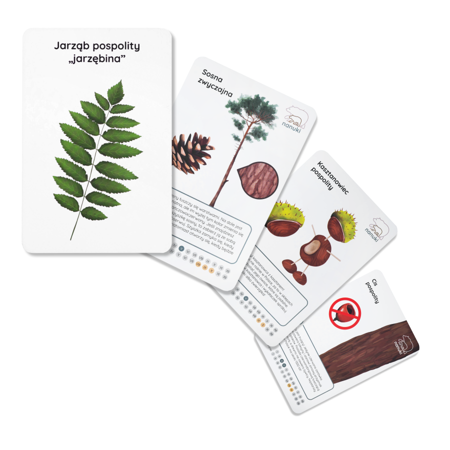 Karty spacerowe - drzewa / Nanuki