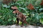 Puzzle 3D - Tyrannosaurus rex / mierEdu
