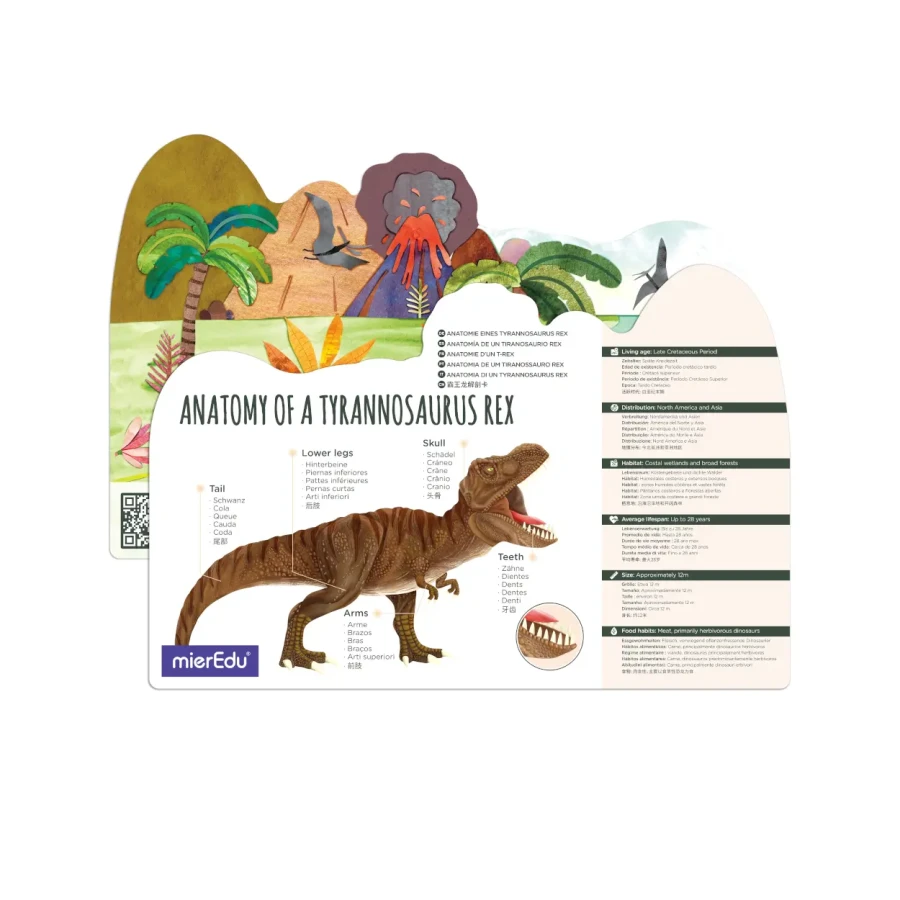 Puzzle 3D - Tyrannosaurus rex / mierEdu