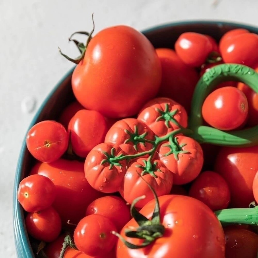 Gryzak-grzechotka - Pomidorki / Oli and Carol