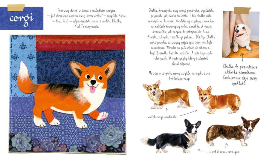 Mały atlas psów (i szczeniaków) Ewy i Pawła Pawlaków / Wydawnictwo Nasza Księgarnia