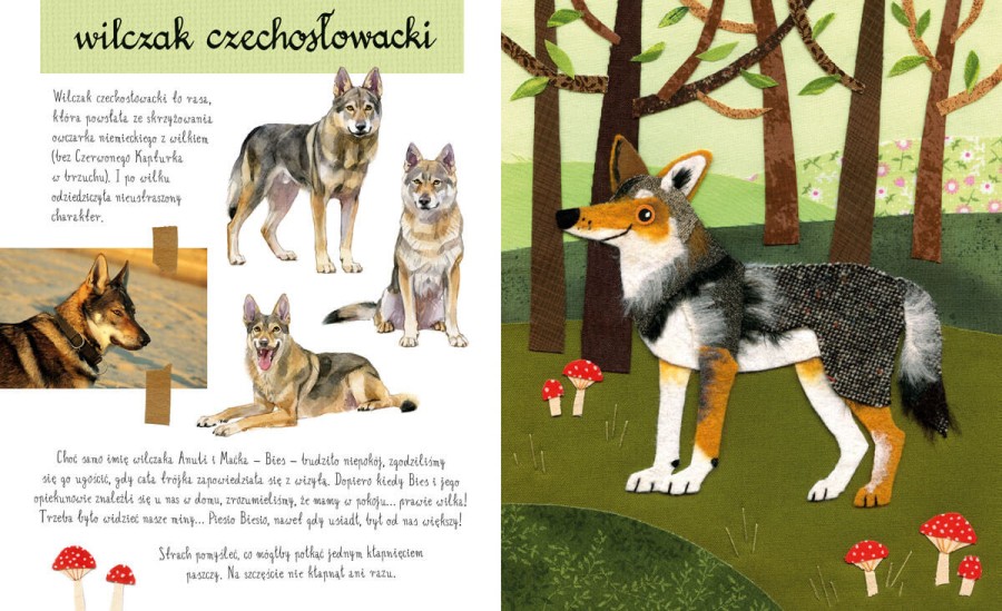 Mały atlas psów (i szczeniaków) Ewy i Pawła Pawlaków / Wydawnictwo Nasza Księgarnia