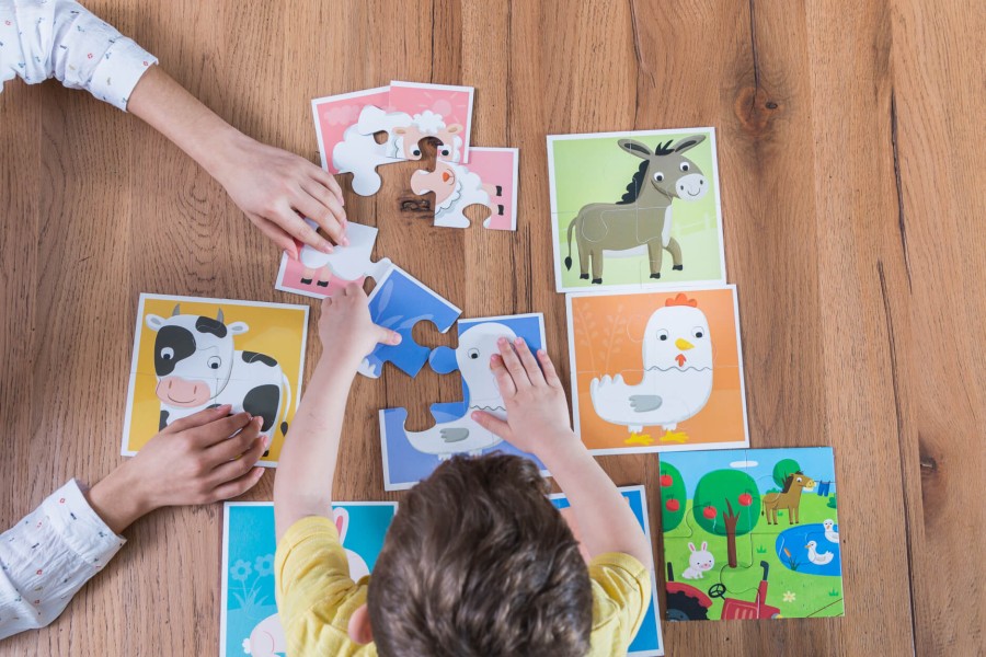 Baby puzzle - dwustronne puzzle dla najmłodszych - WIEŚ / Ludaticca