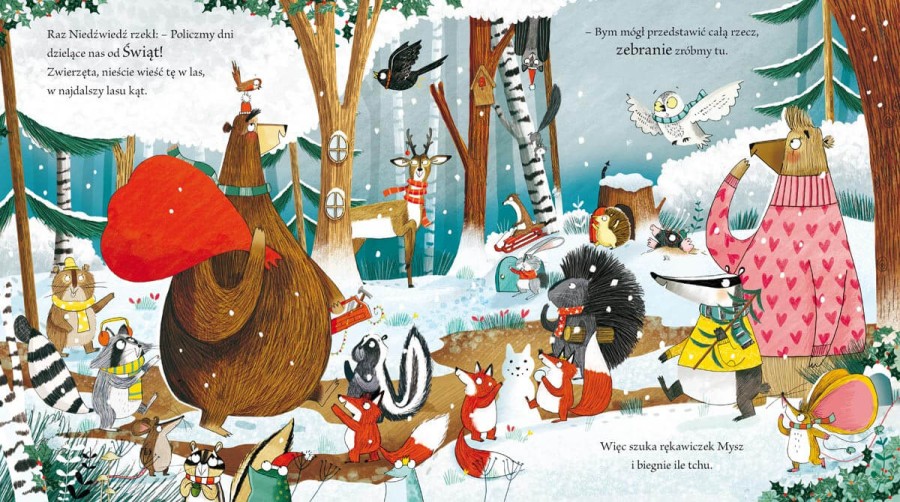 Ile jeszcze do Gwiazdki? / Wydawnictwo Nasza Księgarnia