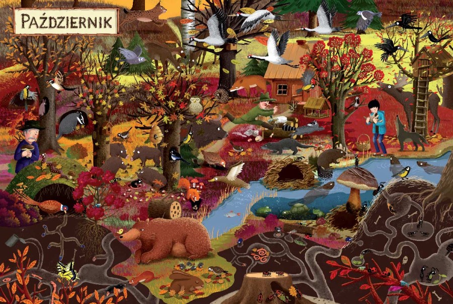 Rok w lesie / Wydawnictwo Nasza Księgarnia