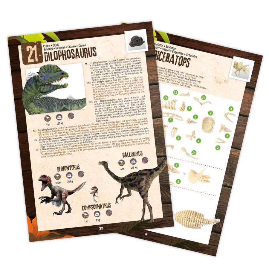 Pudełko 25 niespodzianek z dinozaurami / Buki