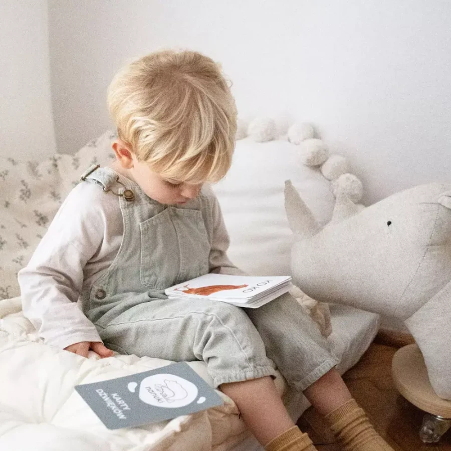 Karty Dźwięków / Nanuki