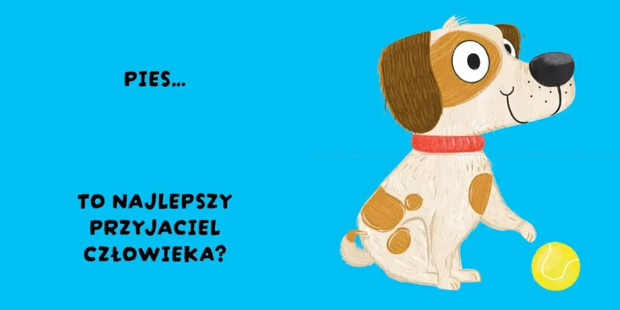 Czy to pasuje? Zwierzęta / Wydawnictwo Wilga