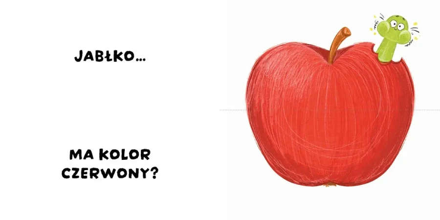 Czy to pasuje? Kolory / Wydawnictwo Wilga