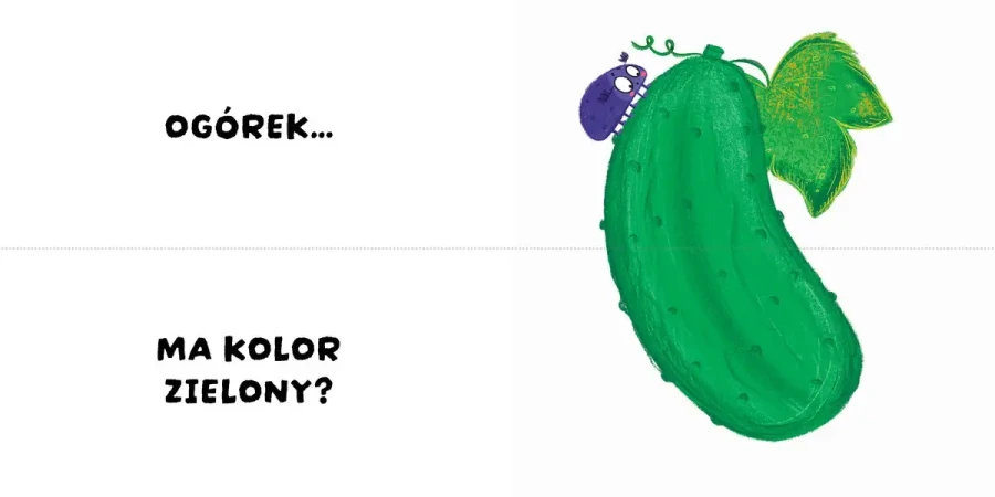 Czy to pasuje? Kolory / Wydawnictwo Wilga