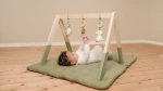 Pałąk interaktywny BabyGym Little Farm / Little Dutch