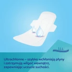 Podpaski poporodowe ze skrzydełkami DAY / Canpol