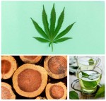 "BĘDĘ #OFFLINE " - cyfrowa kąpiel detoksykacyjna, 40g  / Dresdner Essenz