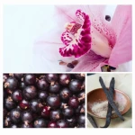 MOJE SERCE NALEŻY TYLKO DO CIEBIE - puder do kąpieli, 60g  / Dresdner Essenz