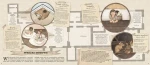 Historia naturalna wróżek / HarperCollins