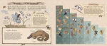 Historia naturalna wróżek / HarperCollins