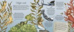 Historia naturalna syren / HarperCollins