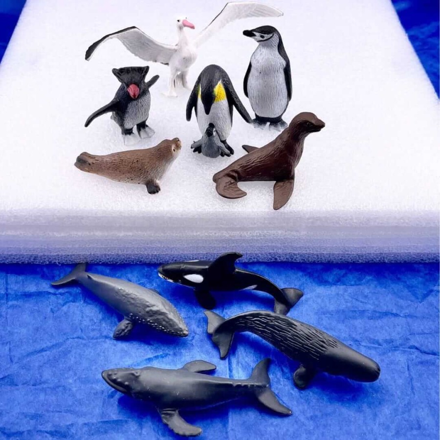 Zestaw Figurek w Tubie - Zwierzęta Antarktydy / Safari Ltd.