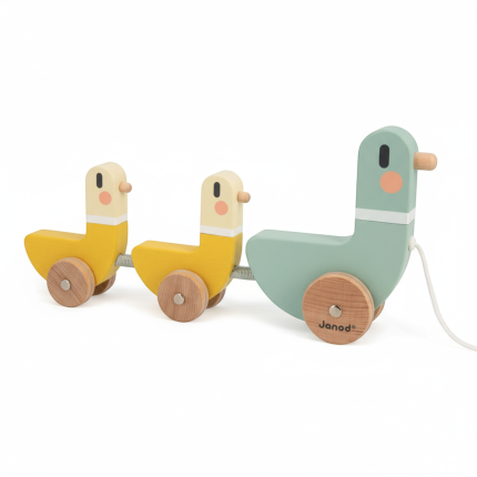 Drewniane kaczki do ciągnięcia Sweet Cocoon / Janod