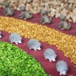 Butelka obserwacyjna - LAS / Petit Boum