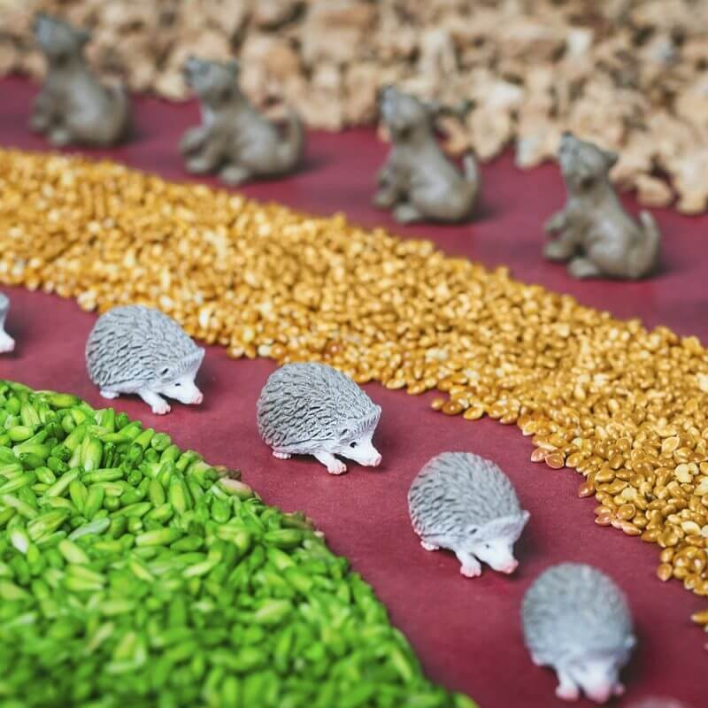 Butelka obserwacyjna - LAS / Petit Boum