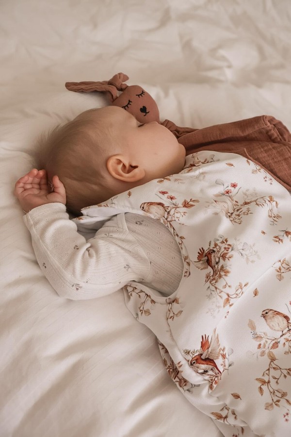 Śpiworek do spania BIRDS / YOSOY