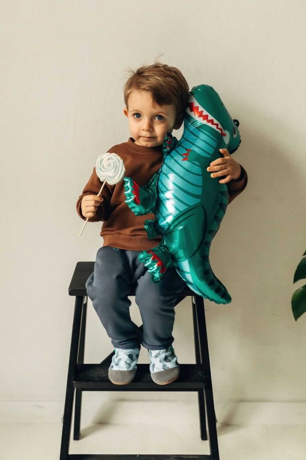 Kapcie do domu, żłobka, przedszkola - GREY DINO / TITOT