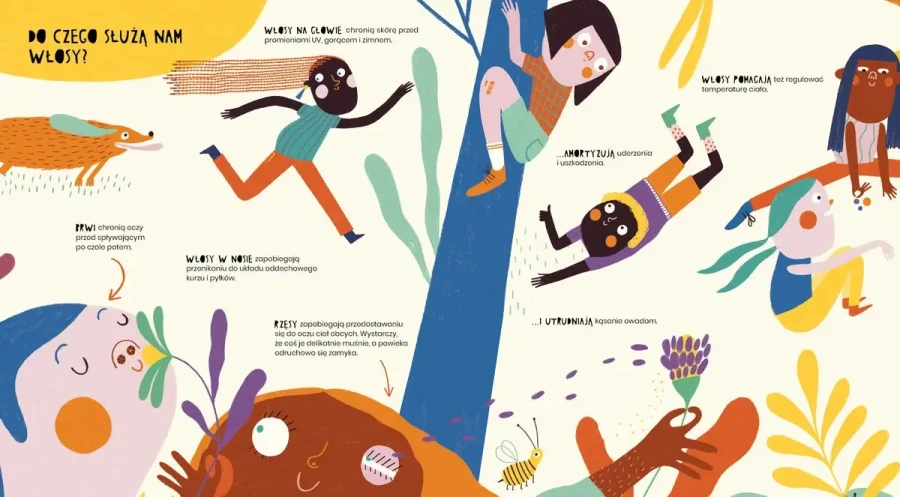 Sekretne życie włosów / Debit