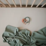 Silikonowy Gryzak na Kółku - Dino / Mushie