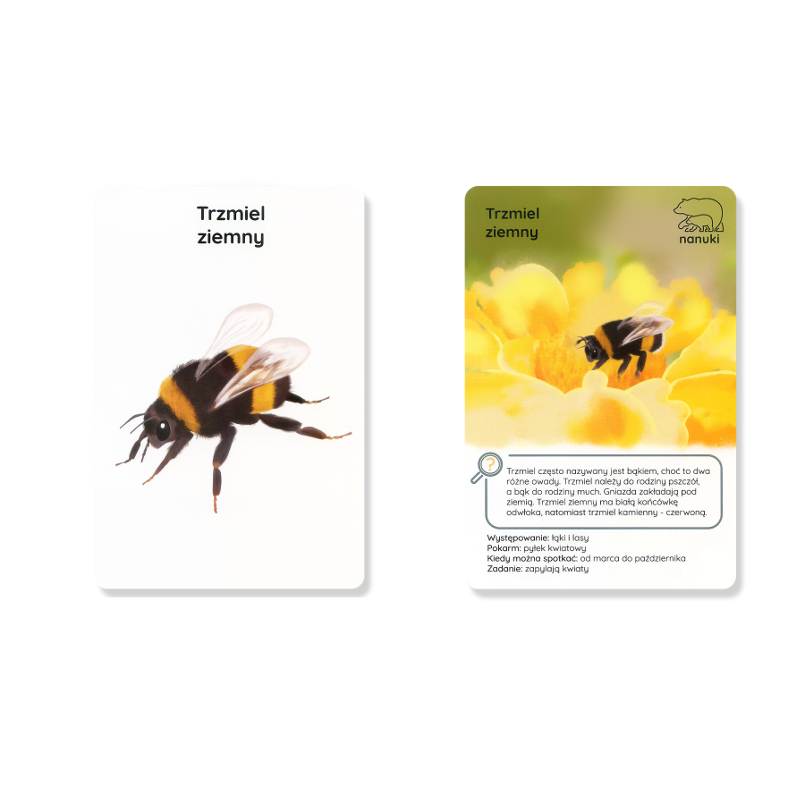 Karty spacerowe - robaczki / Nanuki