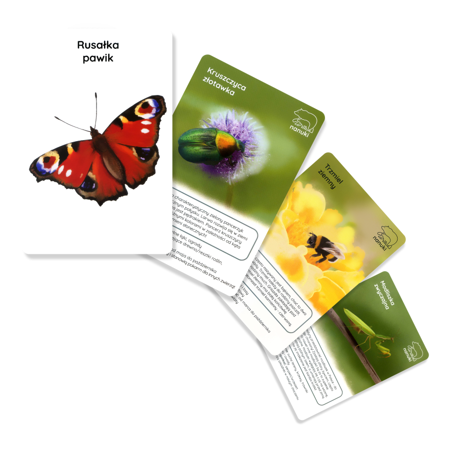 Karty spacerowe - robaczki / Nanuki