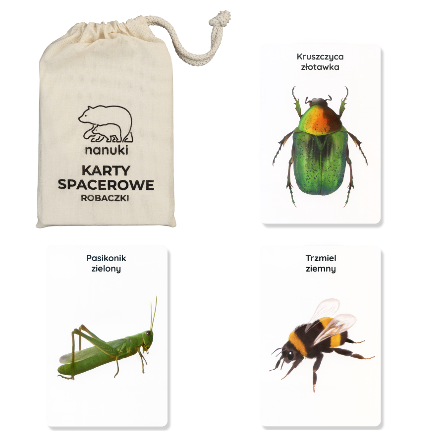 Karty spacerowe - robaczki / Nanuki