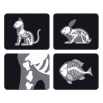 Zestaw weterynarza z 10 akcesoriami 3+ / Janod J06466