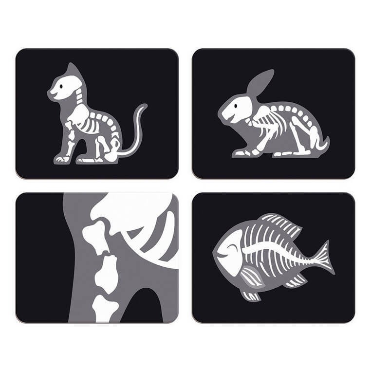 Zestaw weterynarza z 10 akcesoriami 3+ / Janod J06466