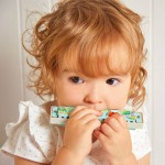 Harmonijka ustna Gioia 3+ / Janod J07653