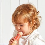 Zestaw zabawek muzycznych Gioia 18m+ / Janod J07656