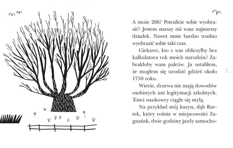 Opowieść starego drzewa. Czytam sobie Eko. Poziom 3 / HarperCollins