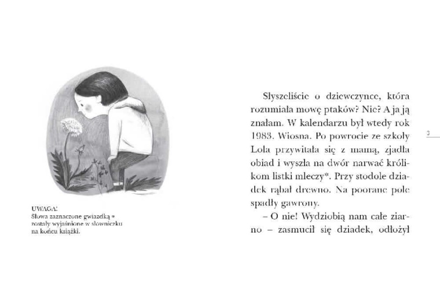 Lola i ptaki. Czytam sobie. Poziom 3 / HarperCollins