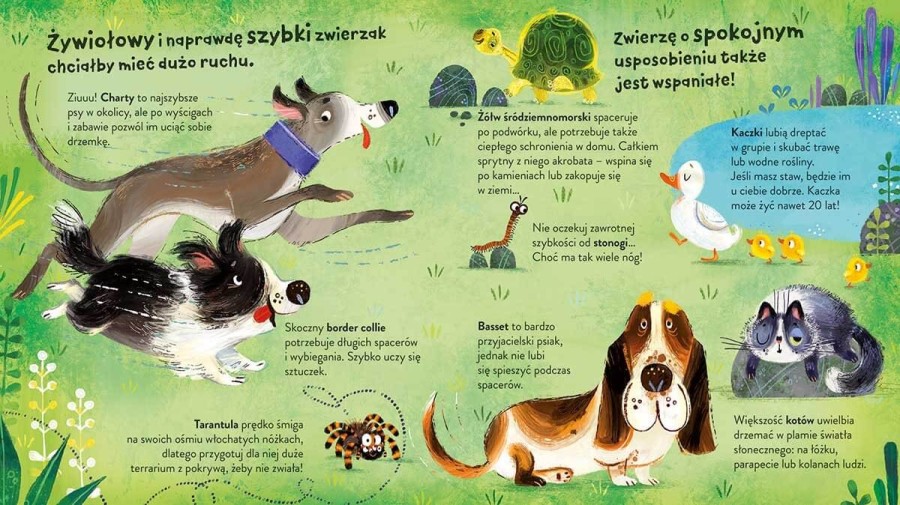 Jakie zwierzę wybrać / HarperCollins