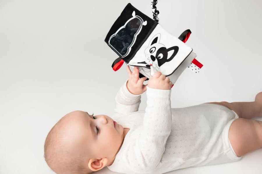 Książeczka Kto to? Co to? / Mom's Care