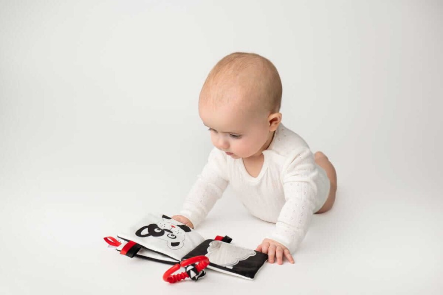 Książeczka Kto to? Co to? / Mom's Care