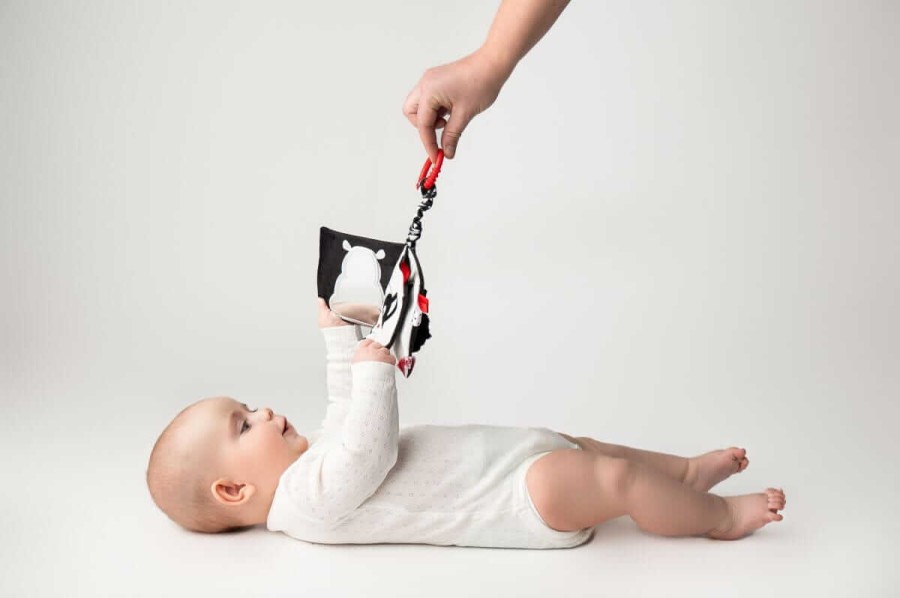 Książeczka Kto to? Co to? / Mom's Care